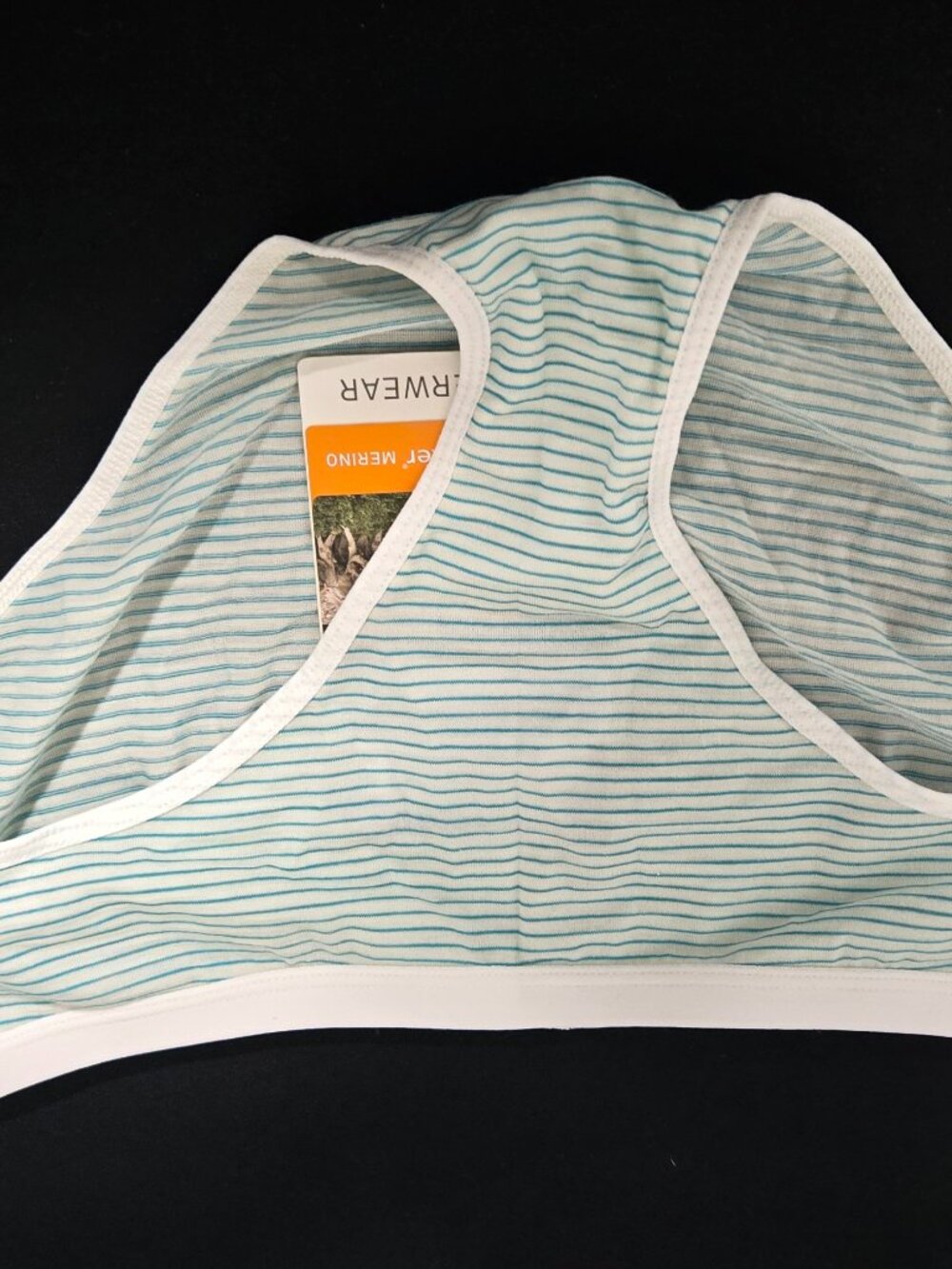 Icebreaker Siren Hipkini Merino Wool Underwear NWT Women's Small Striped